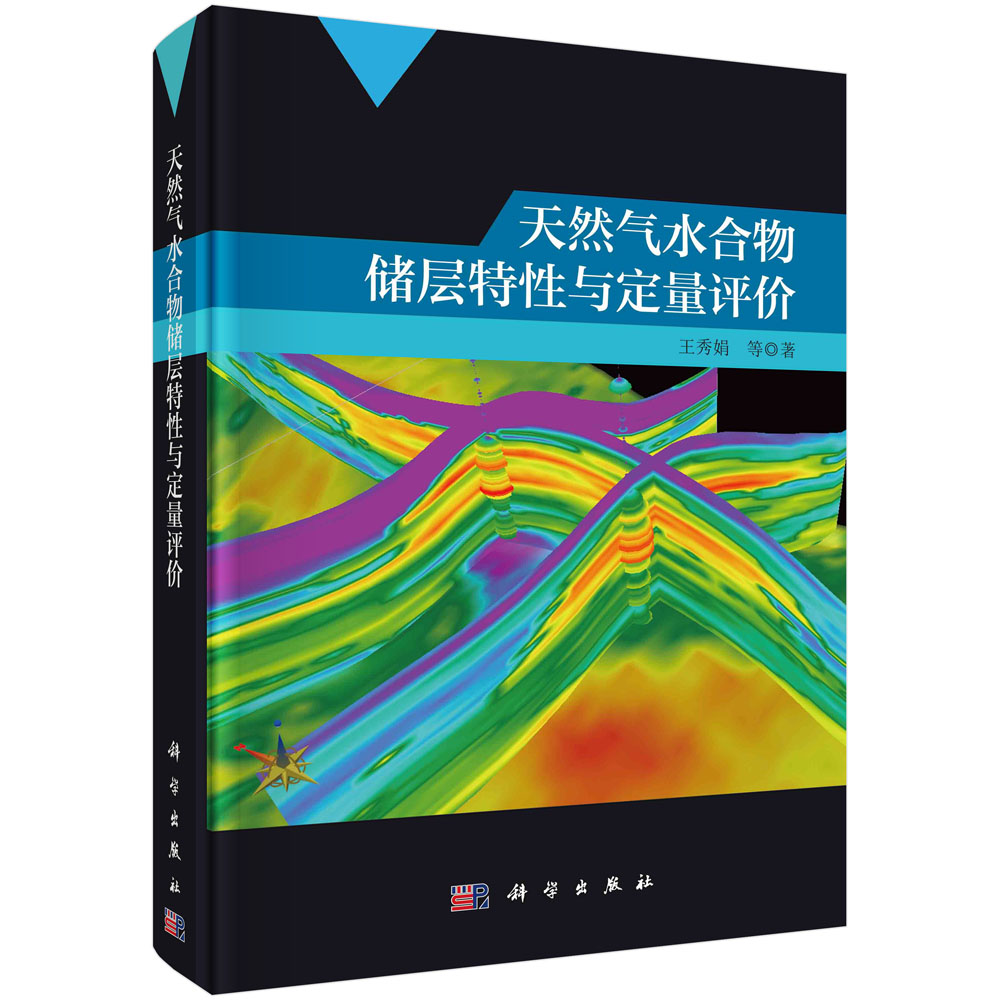 天然气水合物储层特性与定量评价