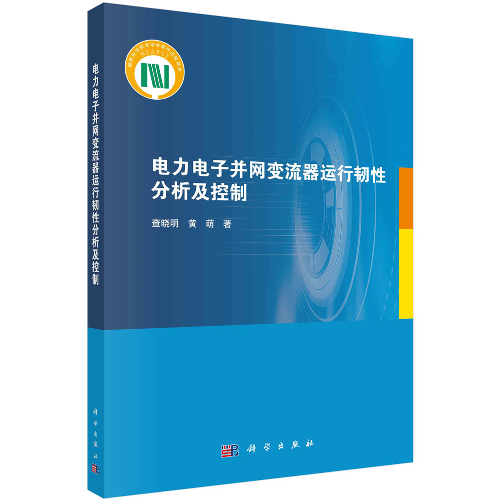 电力电子并网变流器运行韧性分析及控制