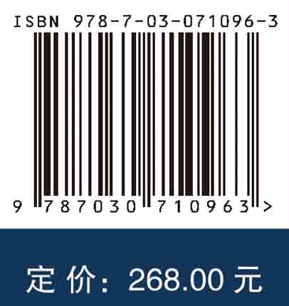 大数据环境下的智能信用评价理论与方法