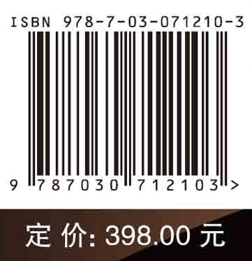 高速铁路道岔设计理论与实践（第三版）