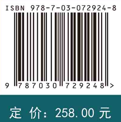 铝电池原理与技术