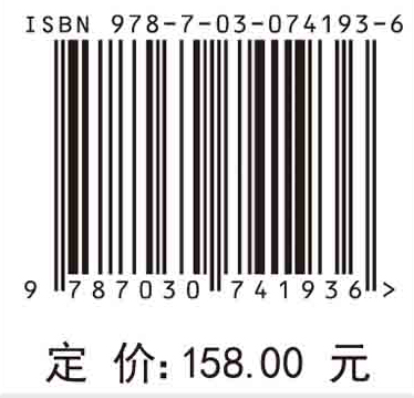 智慧水环境理论与应用