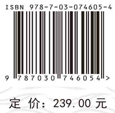 水沙变异条件下长江口北支治理关键技术