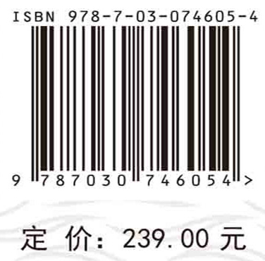 水沙变异条件下长江口北支治理关键技术