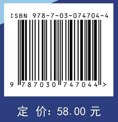 基于特权信息的灰色支持向量机