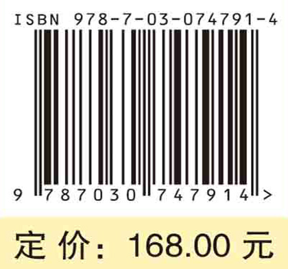 非线性发展方程的有限差分方法(英文版)