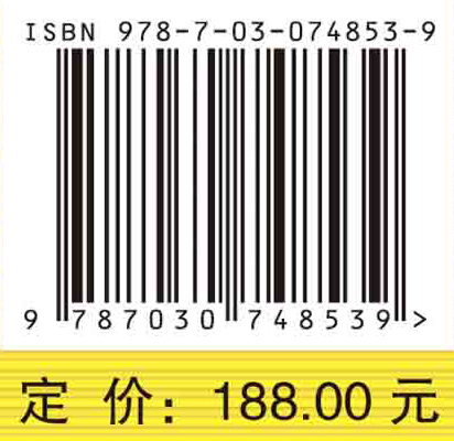 临界非线性色散方程