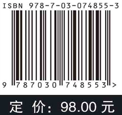散乱数据拟合的模型、方法和理论（第二版）（英文版）