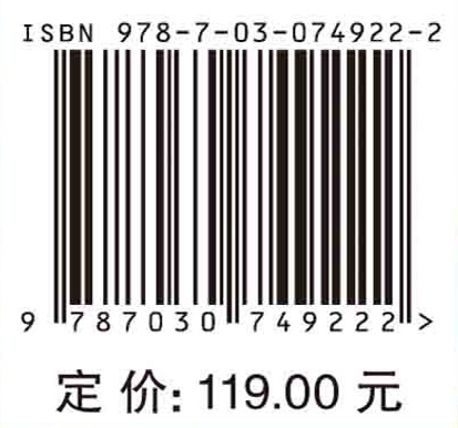 复杂动态环境下非合作目标探测与识别