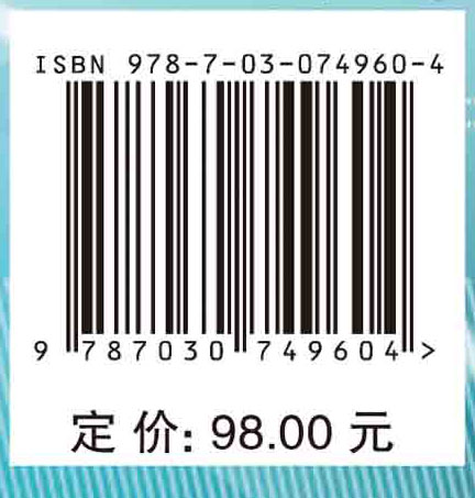 孤立子系统的可积形变及应用