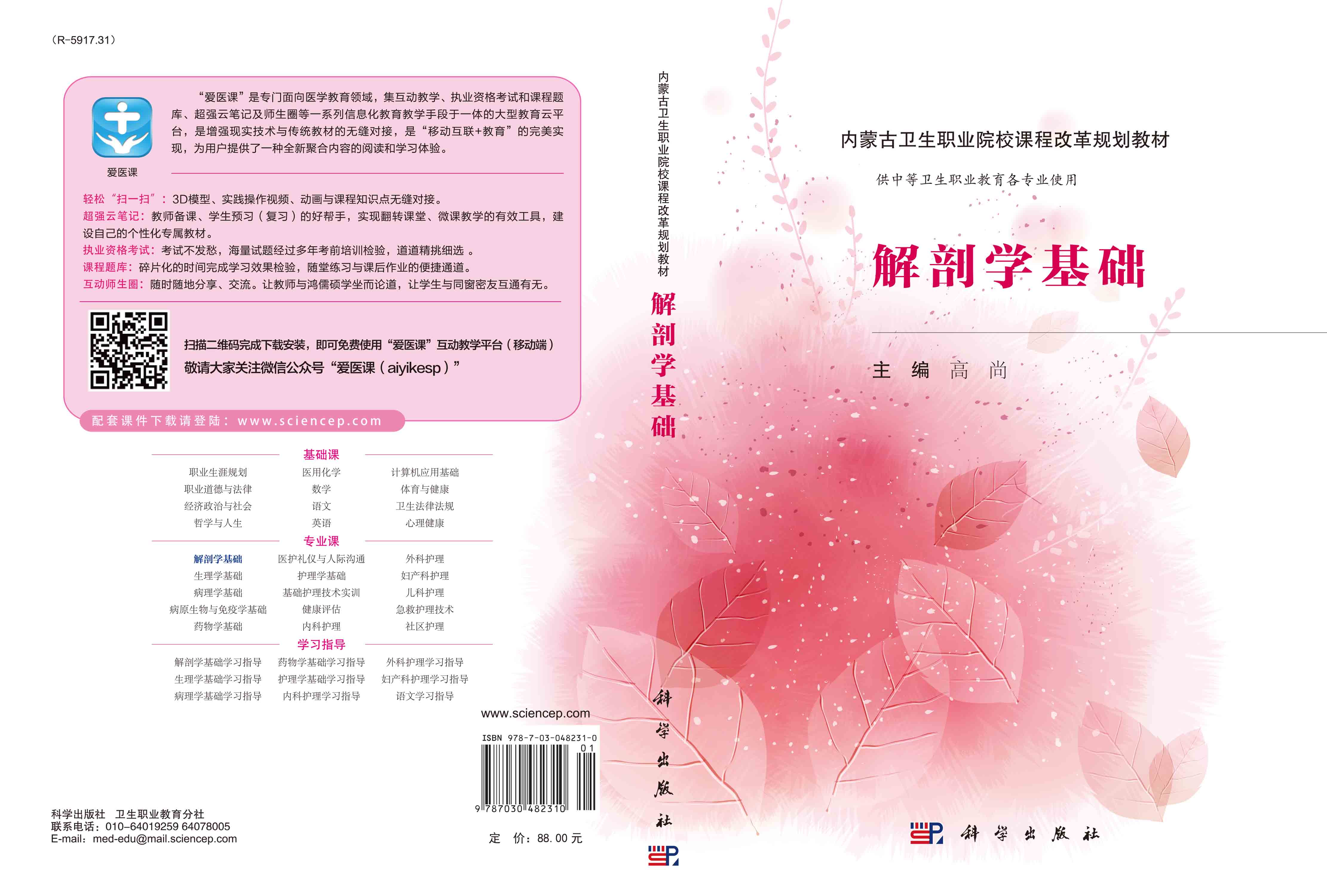 解剖学基础