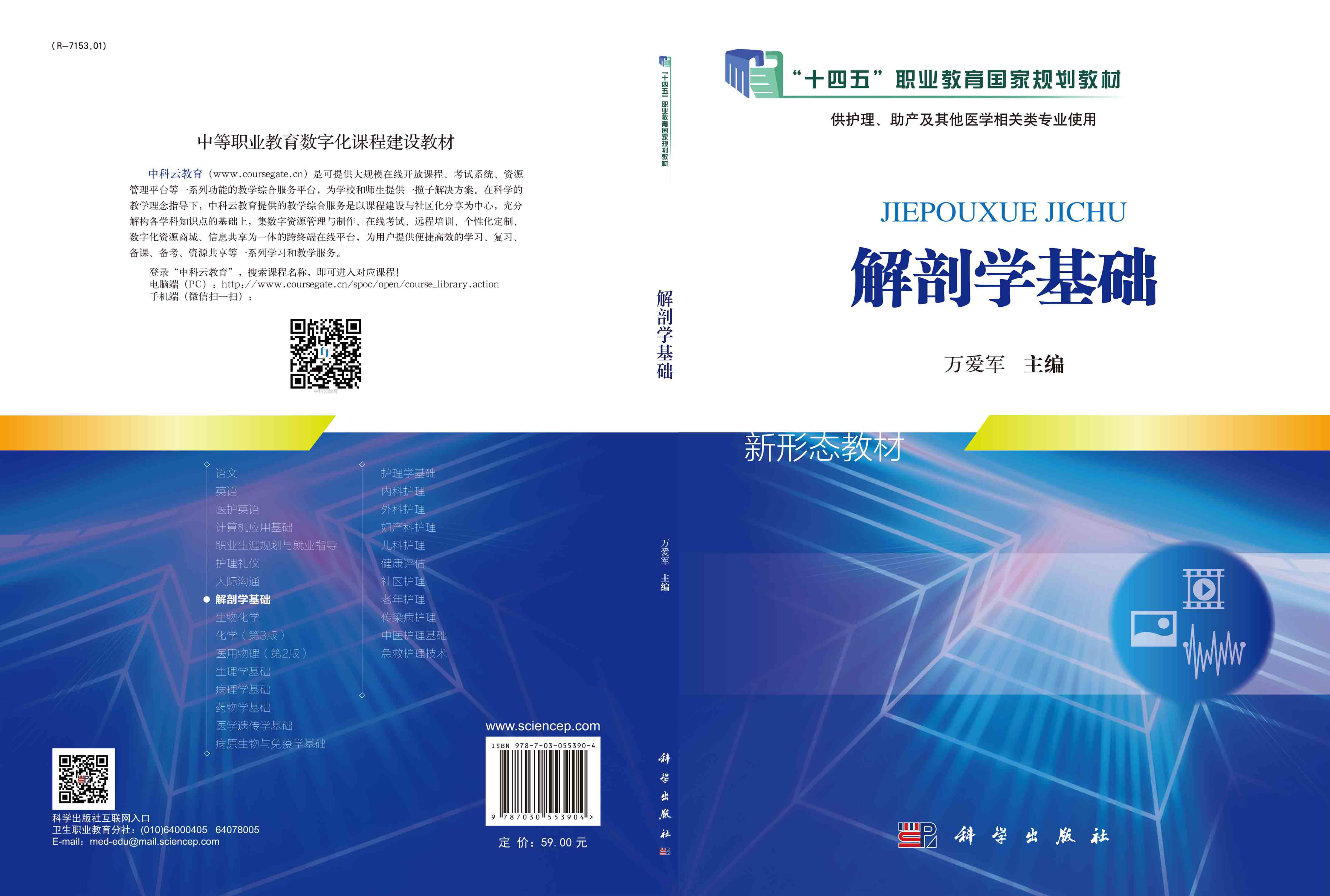 解剖学基础