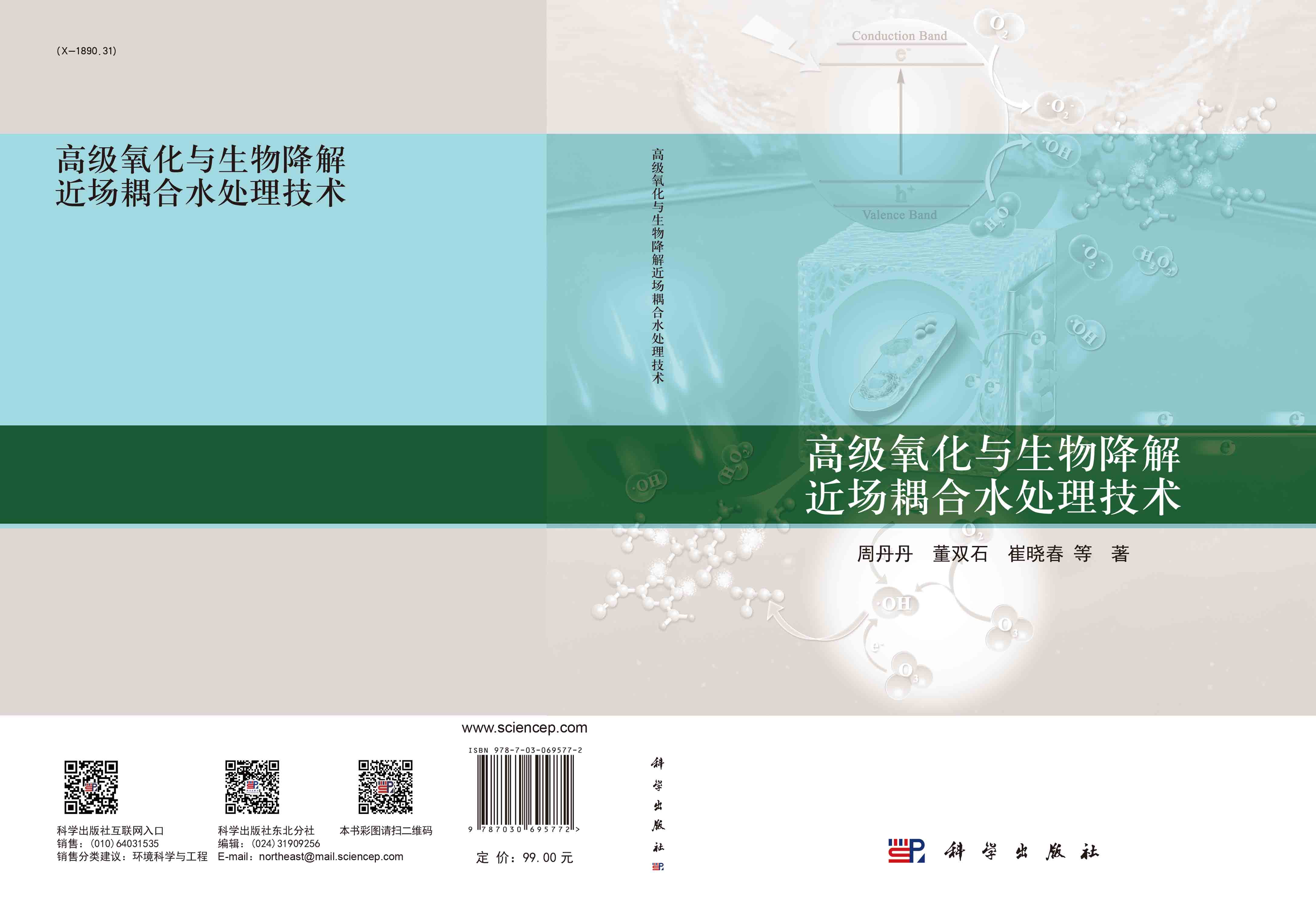 高级氧化与生物降解近场耦合水处理技术