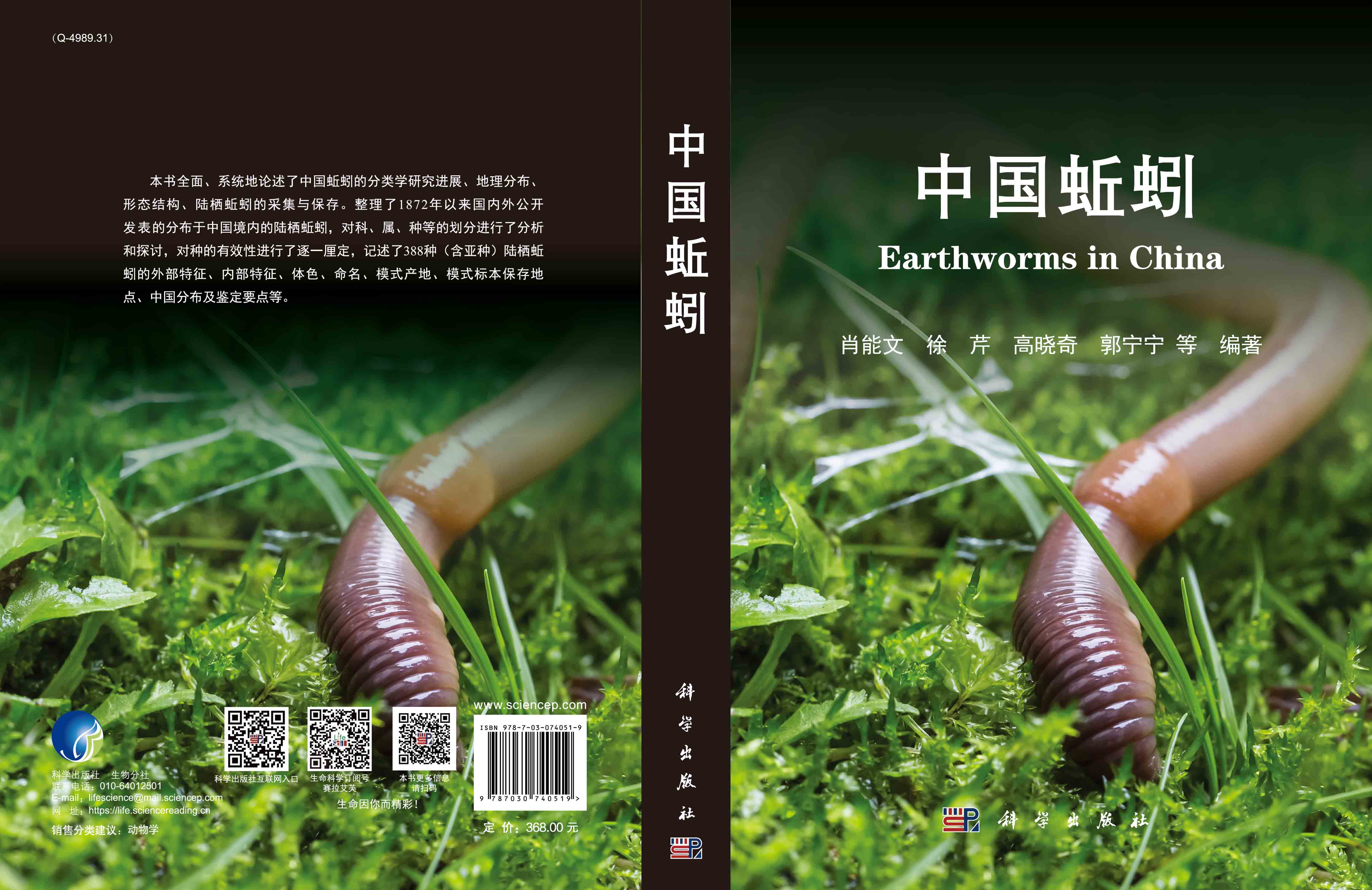 中国蚯蚓
