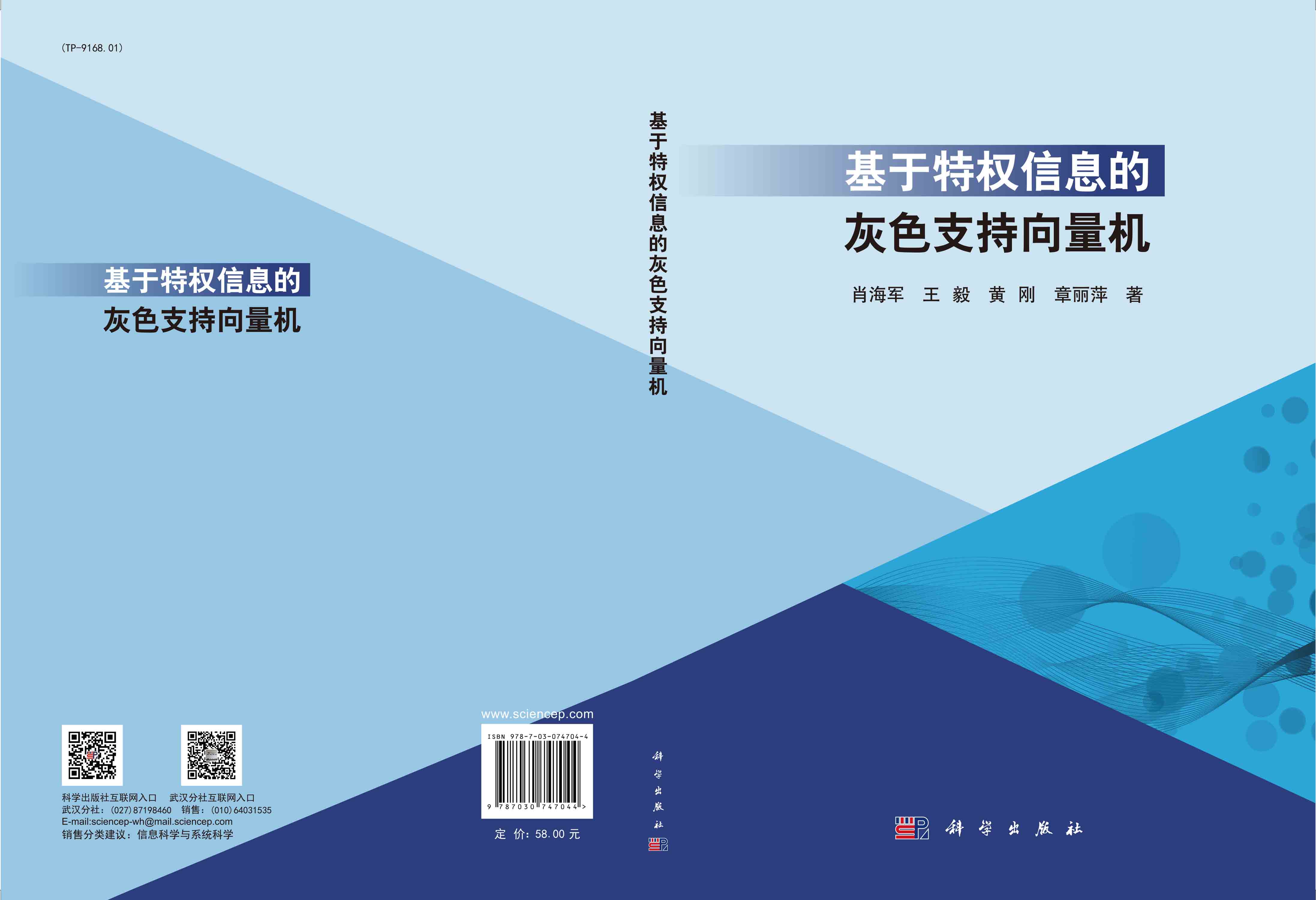 基于特权信息的灰色支持向量机