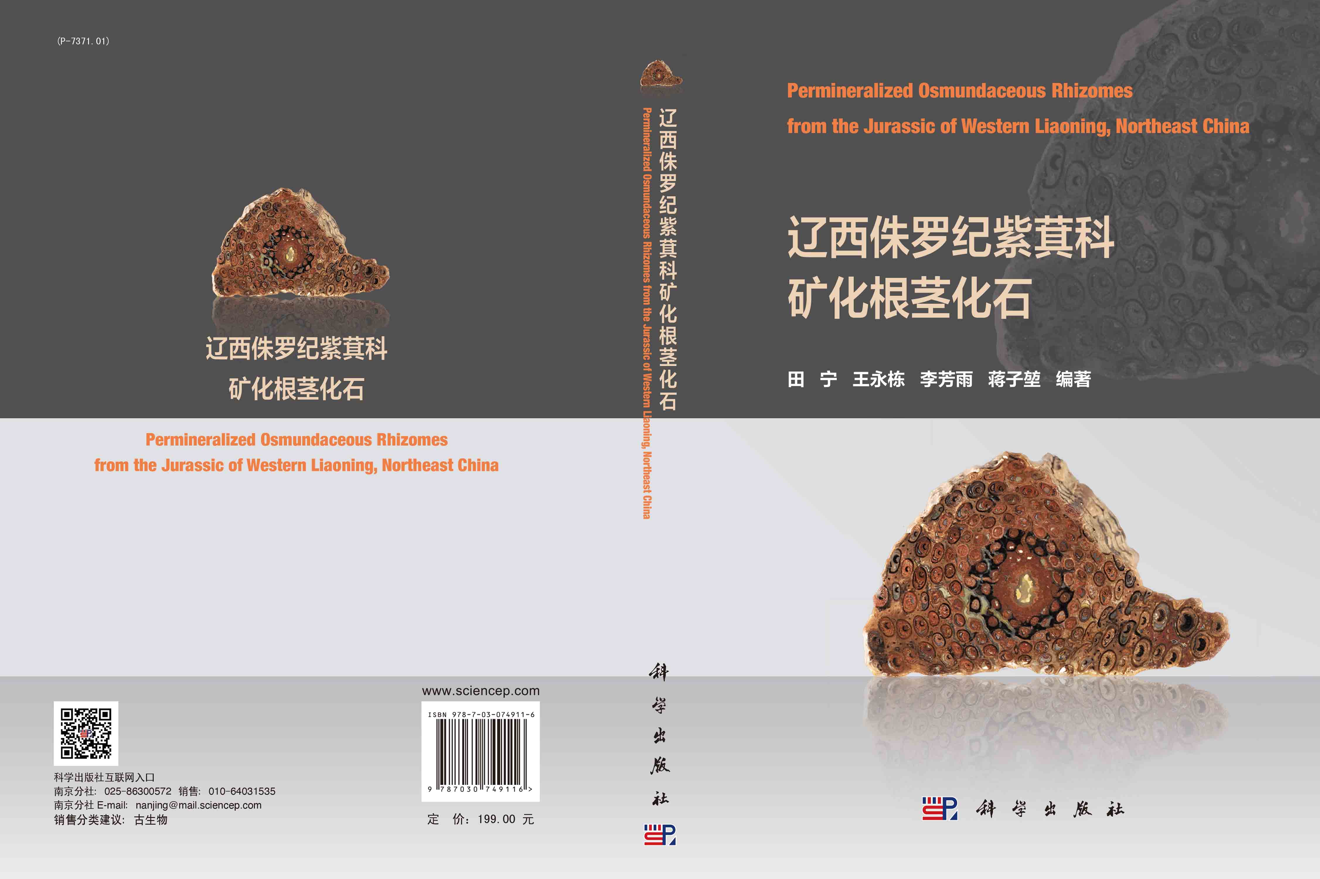 辽西侏罗纪紫萁科矿化根茎化石