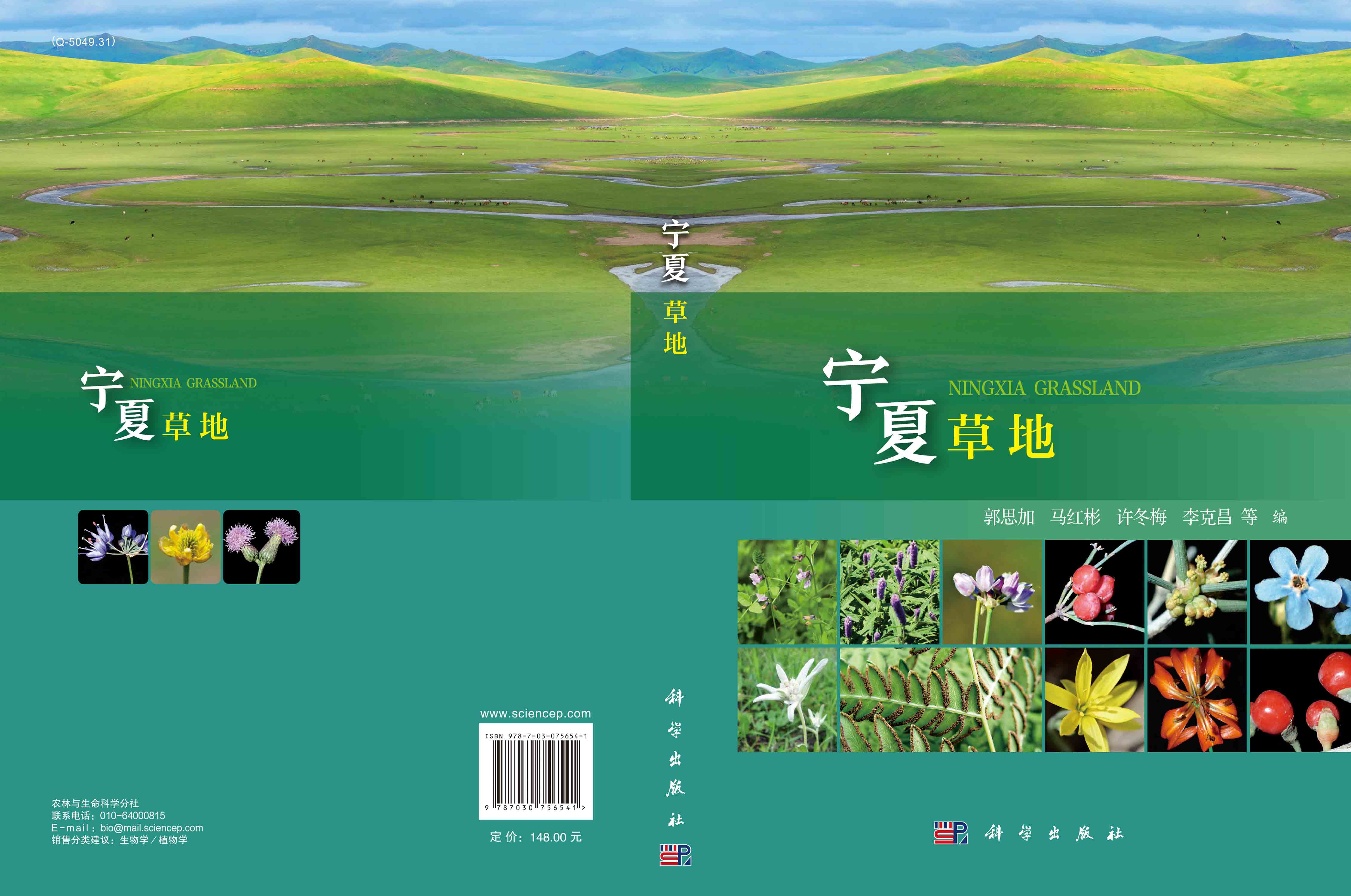 宁夏草地