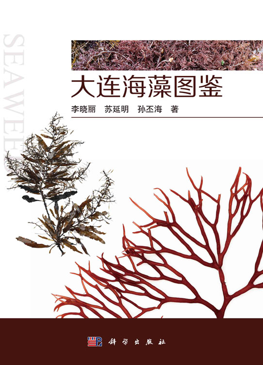大连海藻图鉴