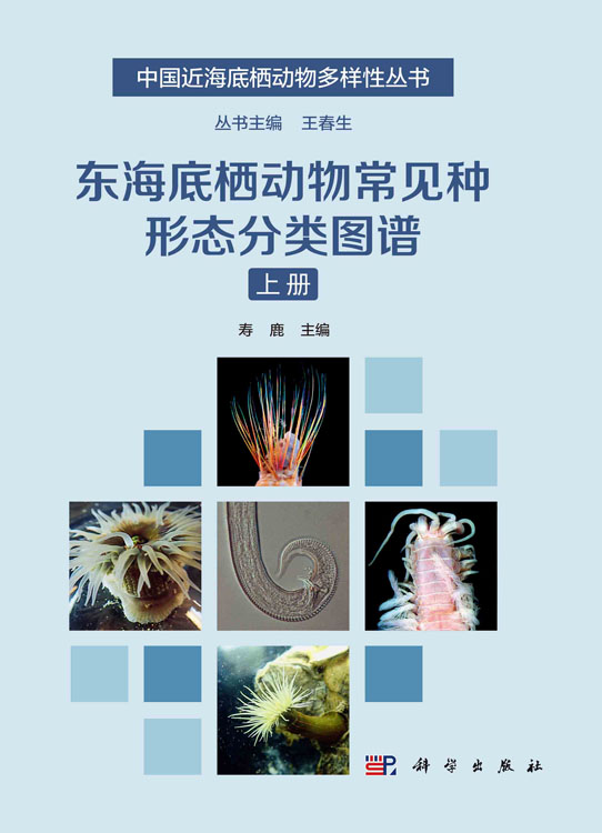 东海底栖动物常见种形态分类图谱：全2册