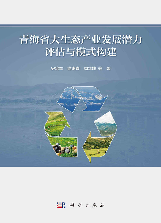 青海省大生态产业发展潜力评估与模式构建