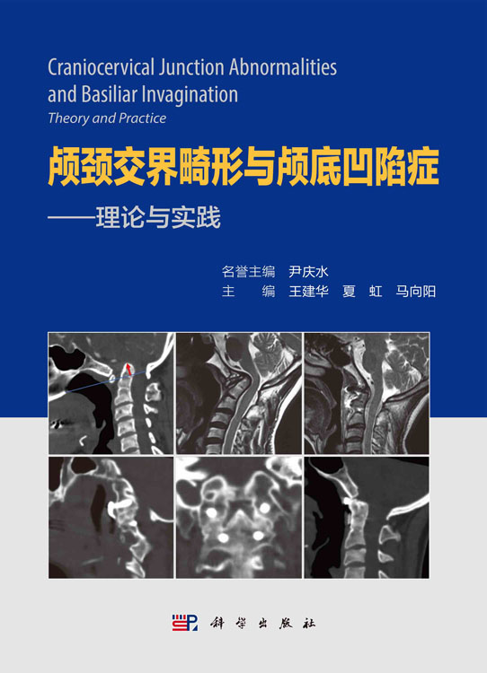 颅颈交界畸形与颅底凹陷症：理论与实践