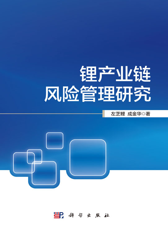锂产业链风险管理研究