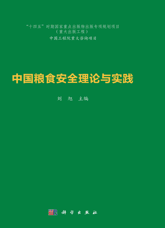 中国粮食安全理论与实践