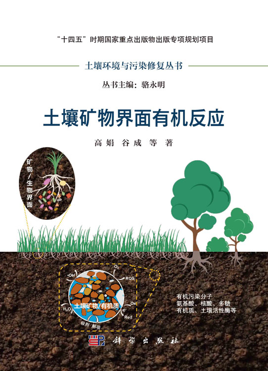土壤矿物界面有机反应