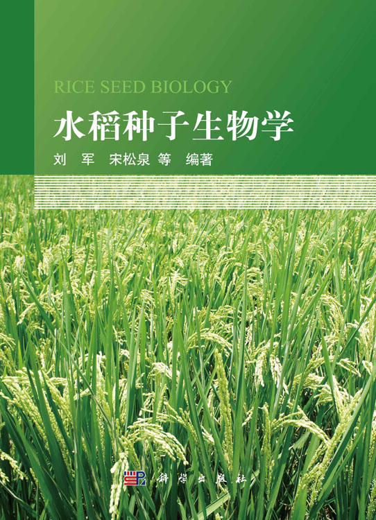 水稻种子生物学