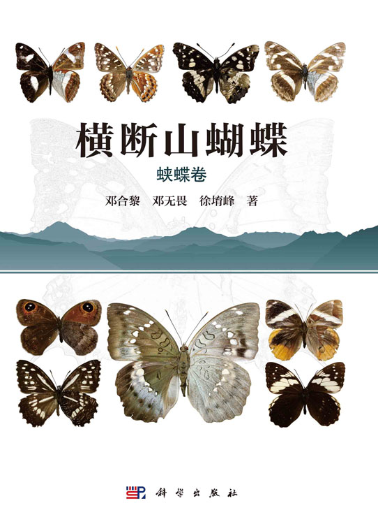 横断山蝴蝶 蛱蝶卷