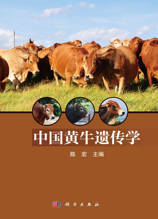中国黄牛遗传学