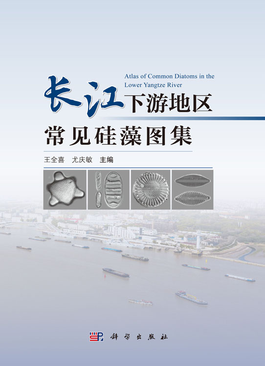 长江下游地区常见硅藻图集