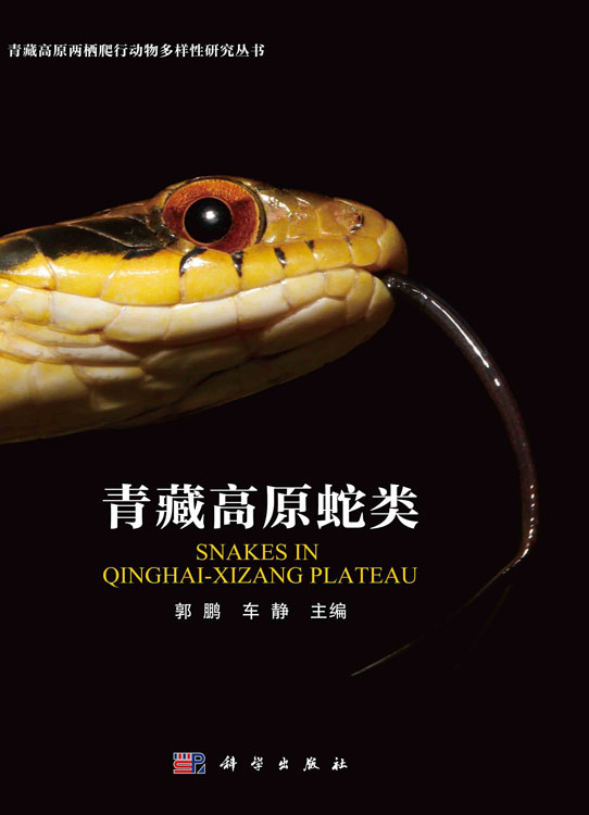 青藏高原蛇类