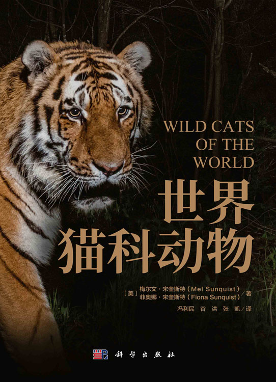 世界猫科动物