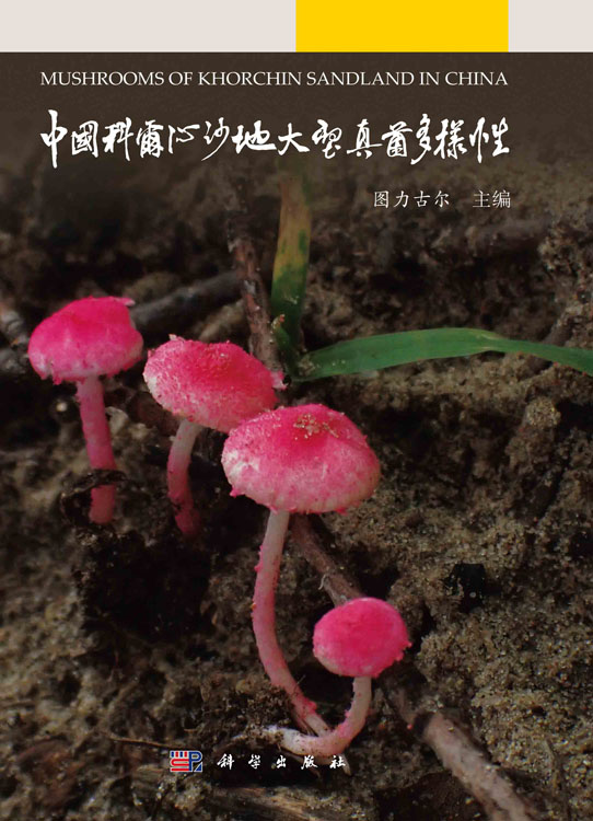 中国科尔沁沙地大型真菌多样性
