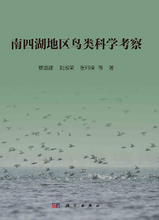 南四湖地区鸟类科学考察
