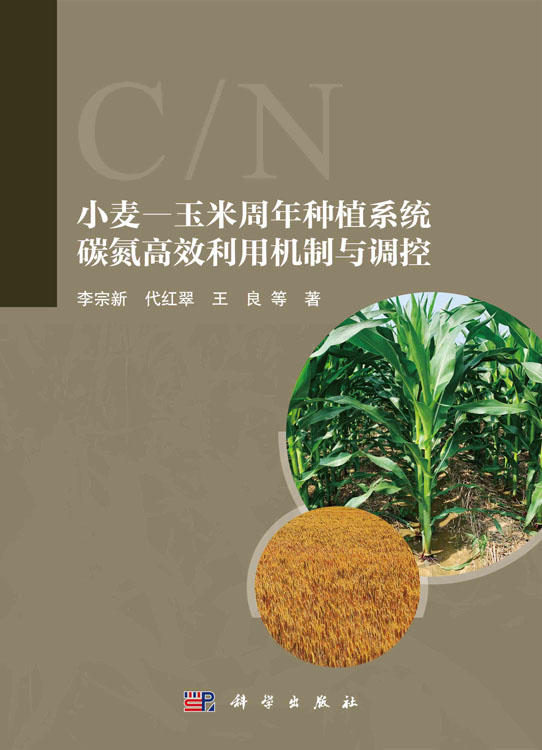 小麦—玉米周年种植系统碳氮高效利用机制与调控