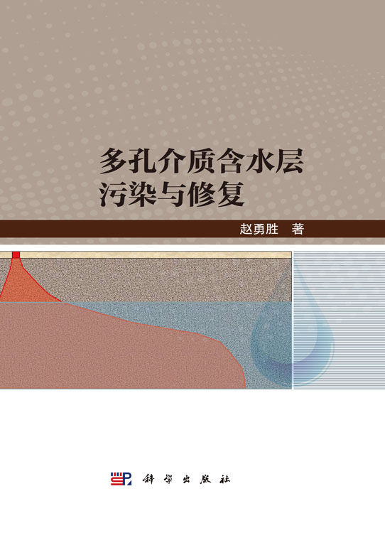 多孔介质含水层污染与修复