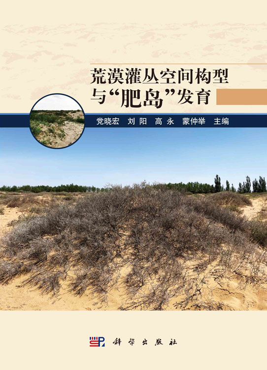 荒漠灌丛空间构型与“肥岛”发育