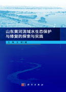 山东黄河流域水生态保护与修复的探索与实践