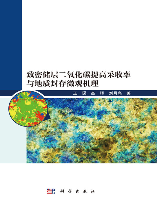 致密储层二氧化碳提高采收率与地质封存微观机理