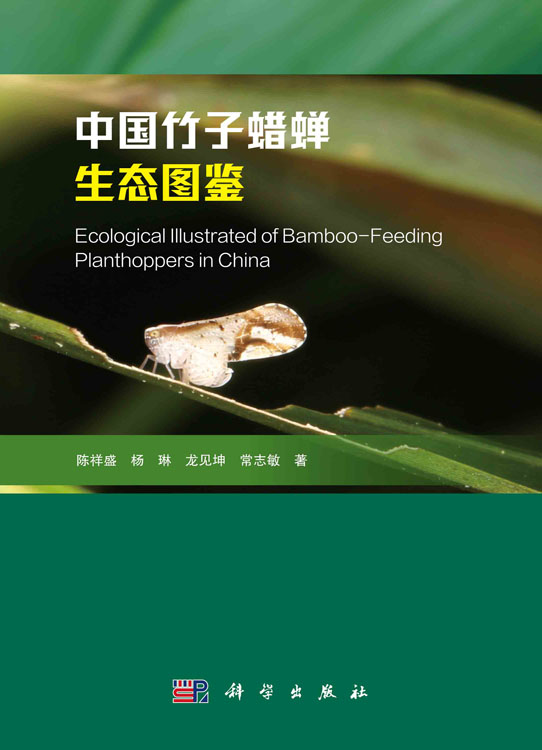 中国竹子蜡蝉生态图鉴