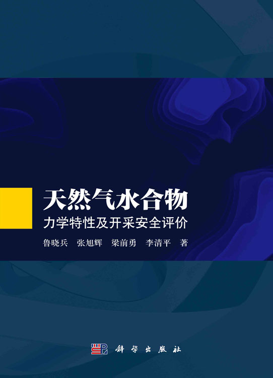 天然气水合物：力学特性及开采安全评价