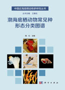 渤海底栖动物常见种形态分类图谱