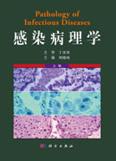 感染病理学:全2册