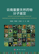 云南重要天然药物分子鉴定