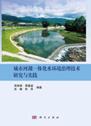 城市河湖一体化水环境治理技术研究与实践