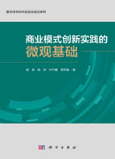 商业模式创新实践的微观基础