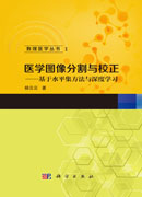 医学图像分割与校正——基于水平集方法与深度学习