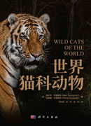 世界猫科动物